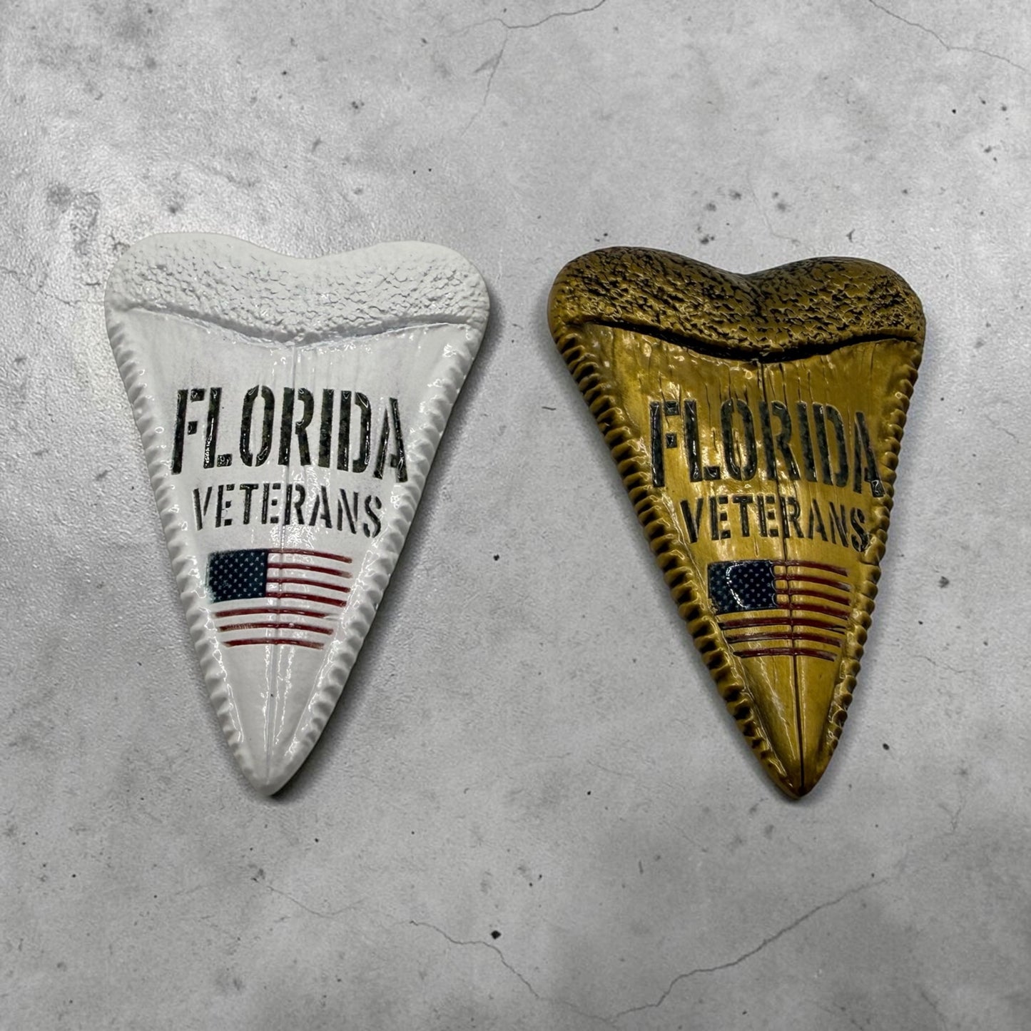 Shark Tooth Florida Veterans