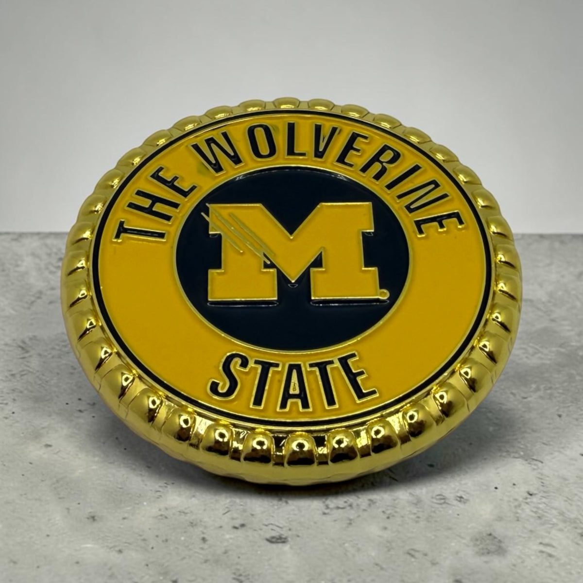 Michigan Wolverines BS