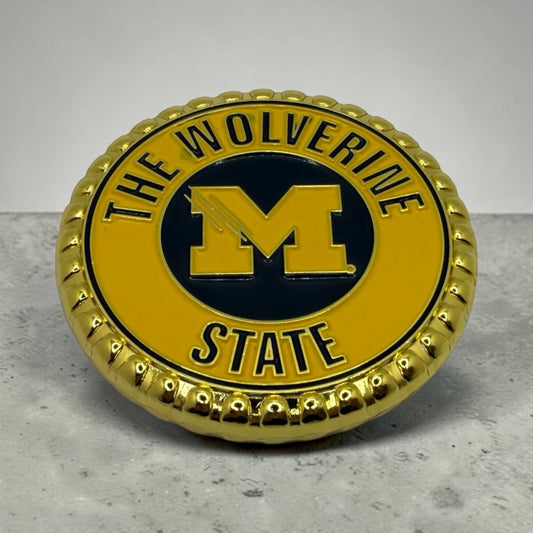 Michigan Wolverines BS