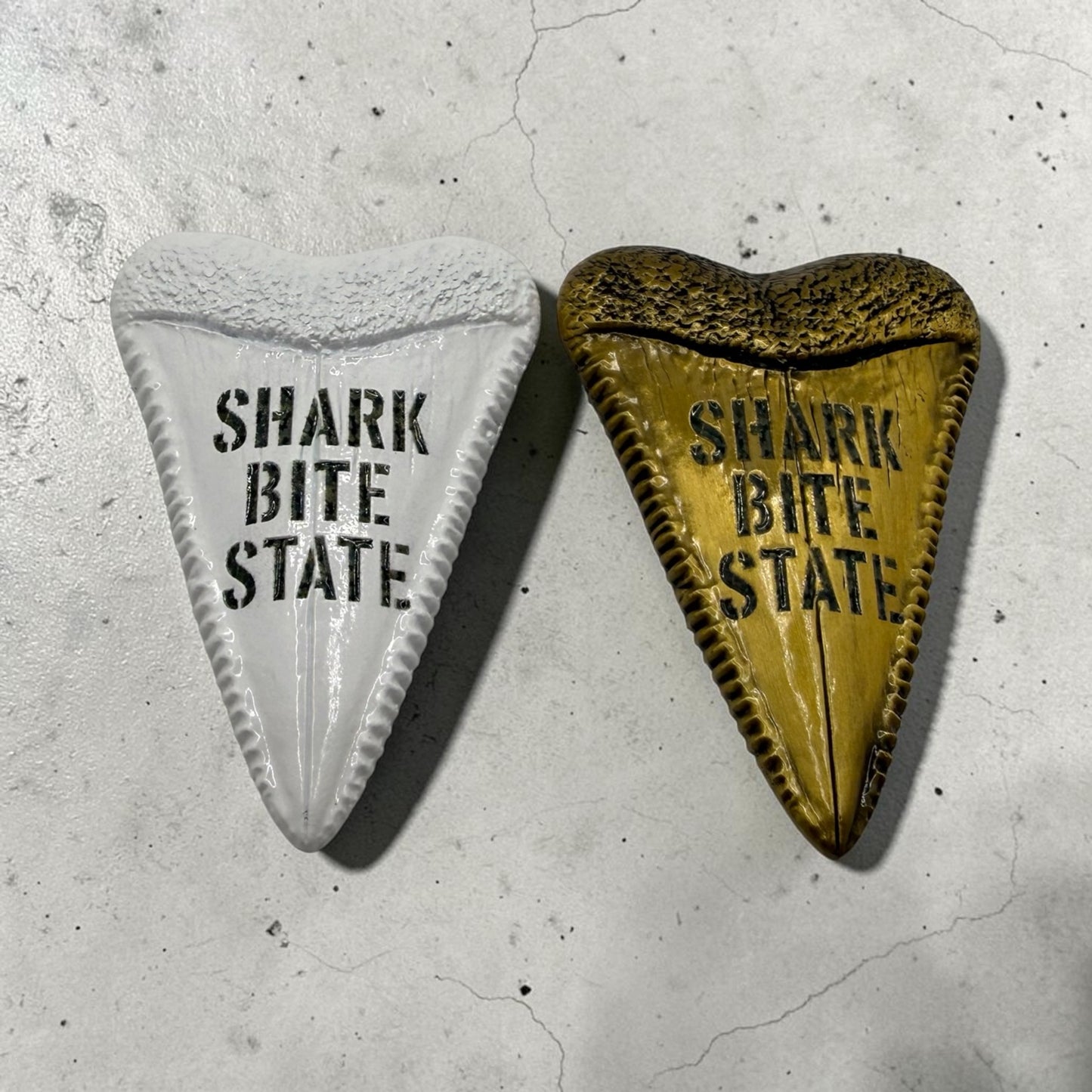 Shark Tooth Florida Veterans