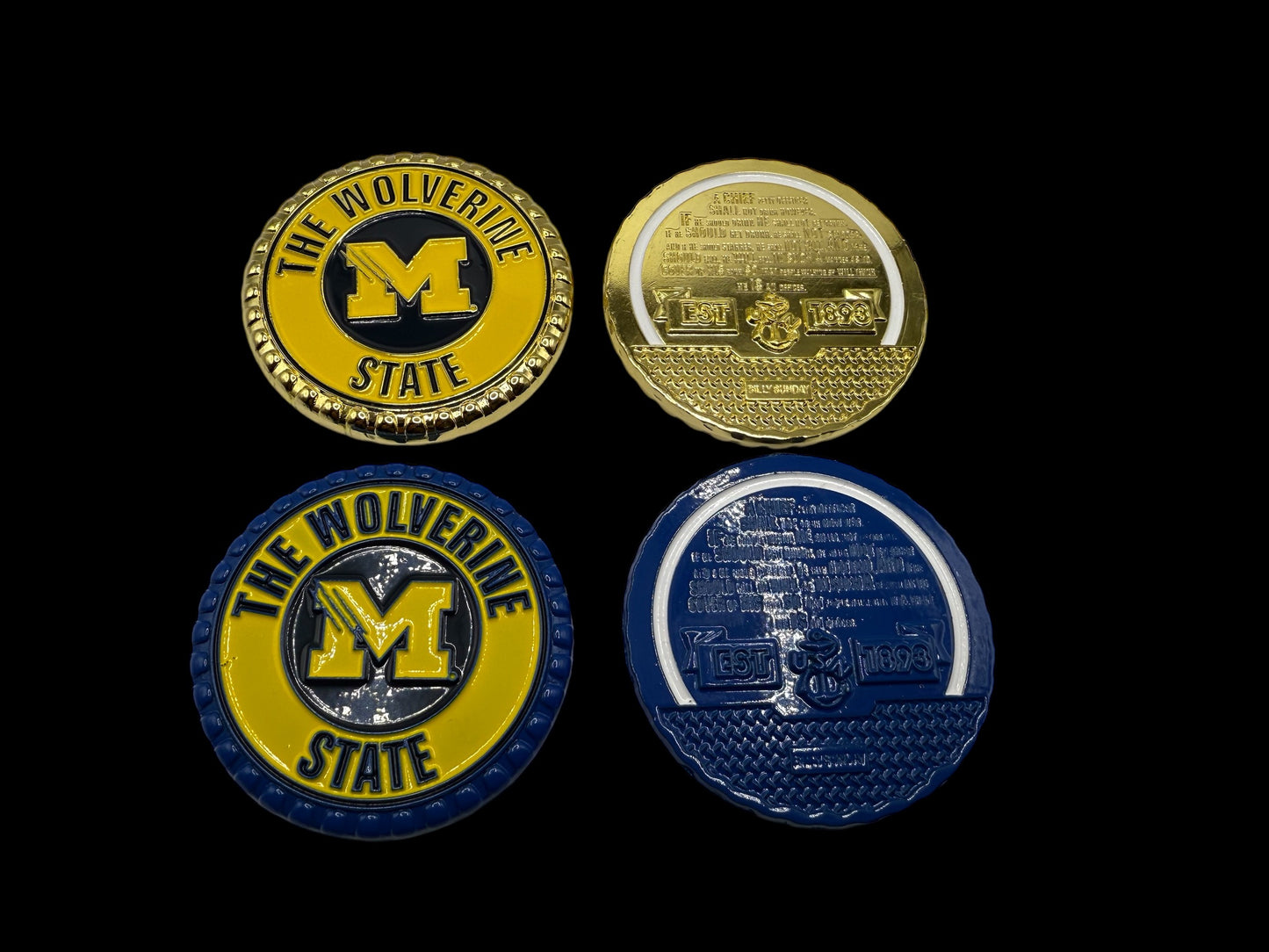 Michigan Wolverines BS