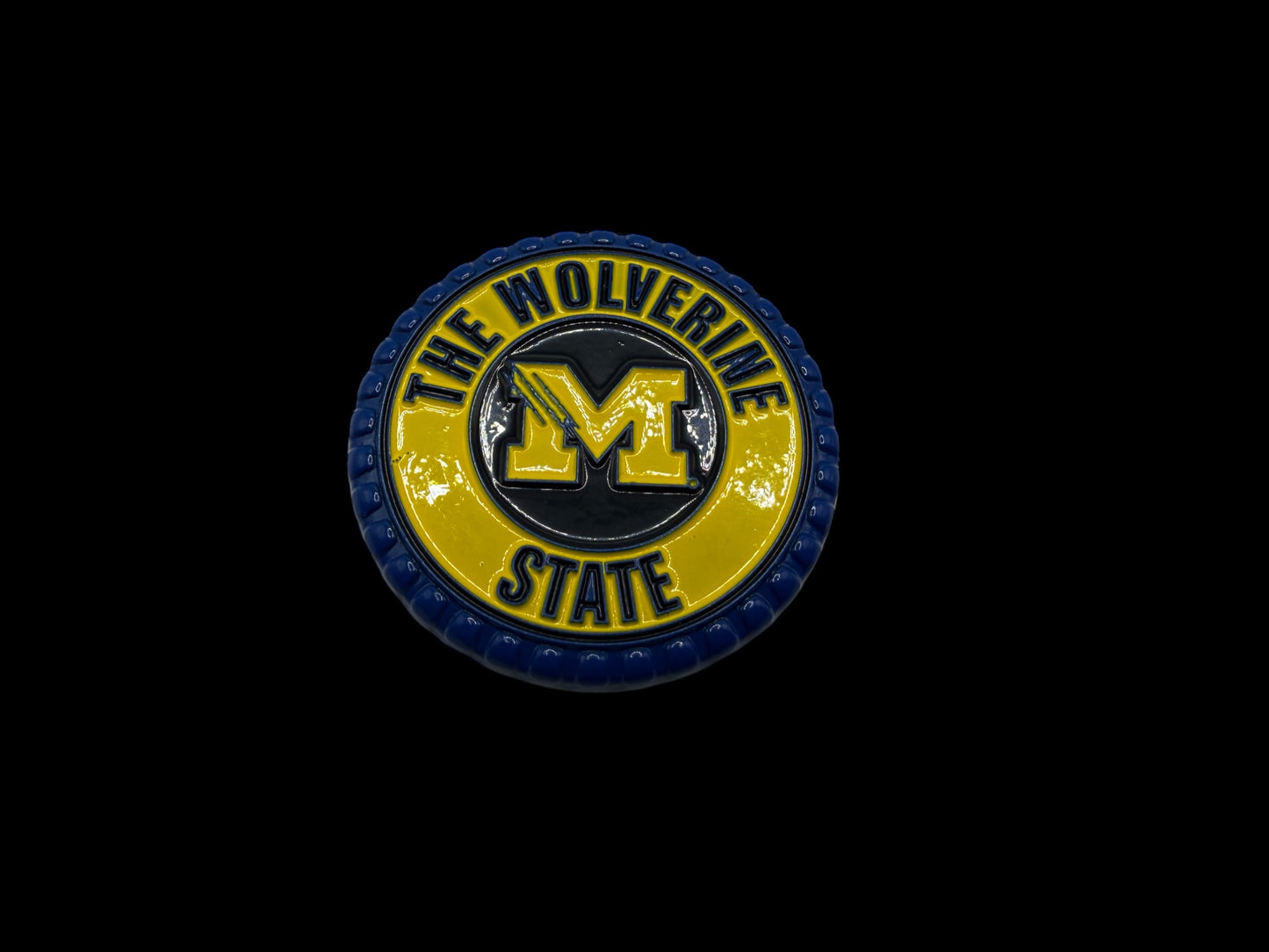 Michigan Wolverines BS