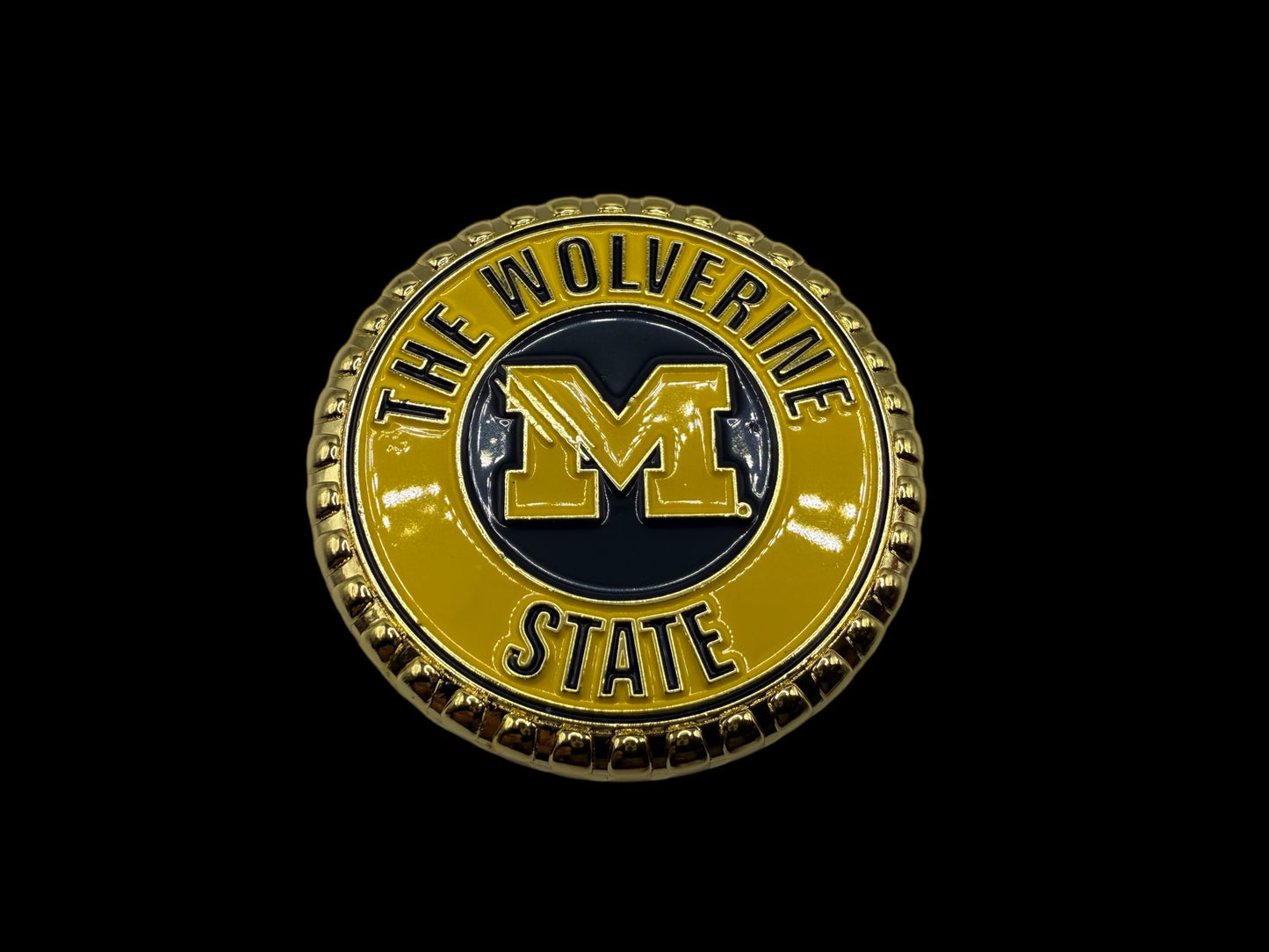 Michigan Wolverines BS