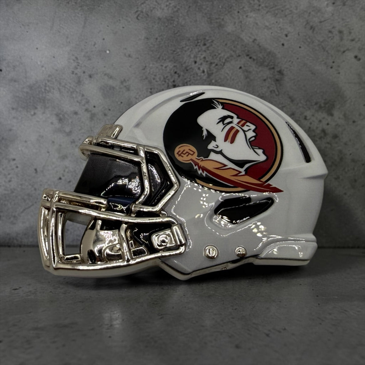 College Gameday Mini Helmets